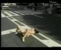 Порно видео на телефоне домашнее самое крутое-