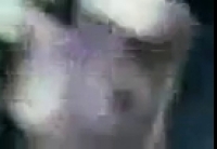 Порно на кавказе в стиле натурального секса