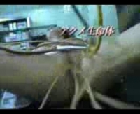 Инцест видео с горячей мамочкой