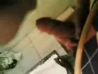 Порно клипы с японскими девушками