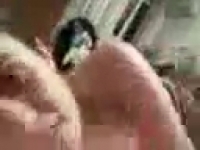 Зрелая женщина делает минет и трахается грубо