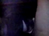 Порно видео для взрослых сексуальное содержание