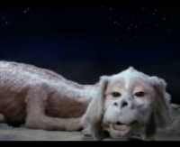 Порно вечеринка секс групповой оргии клуб